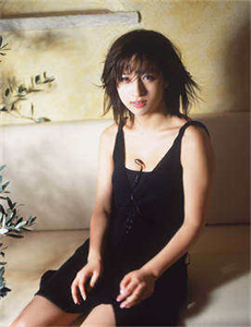 天天向上 美女总裁