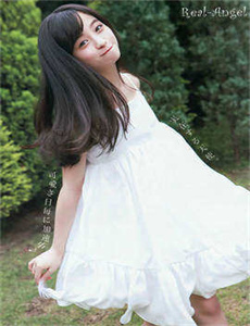 性板17