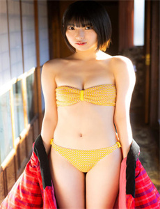 恐龙星的比基尼女孩