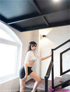 龙牌之谜
